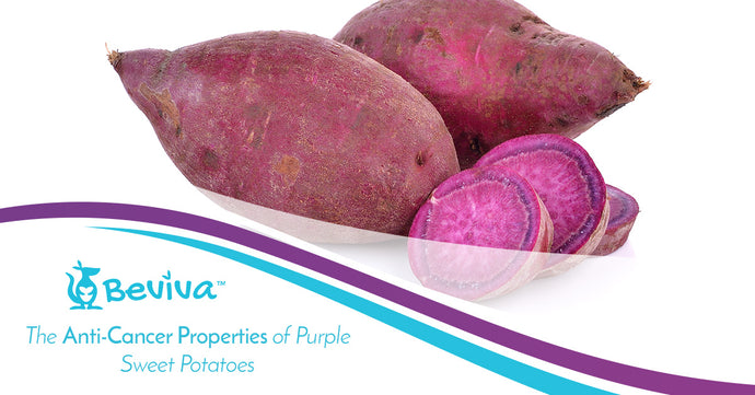 The Anti-Cancer Properties of Purple Sweet Potatoes